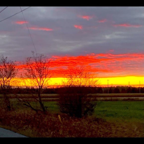 Meet your Posher, Sheri - Picture 1 of 1